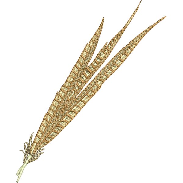 WO055 Thumbnail